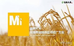 做普遍：正在全球范畴内寻求合做伙伴