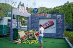 还激发农村立异活力（如孵化农业科技初）