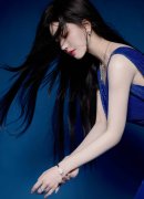 <b>中国已成为全球最大的电动汽</b>